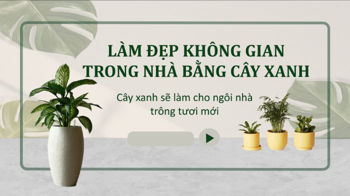 Nguyễn Ngọc Tuyết Vân - BTVN 2