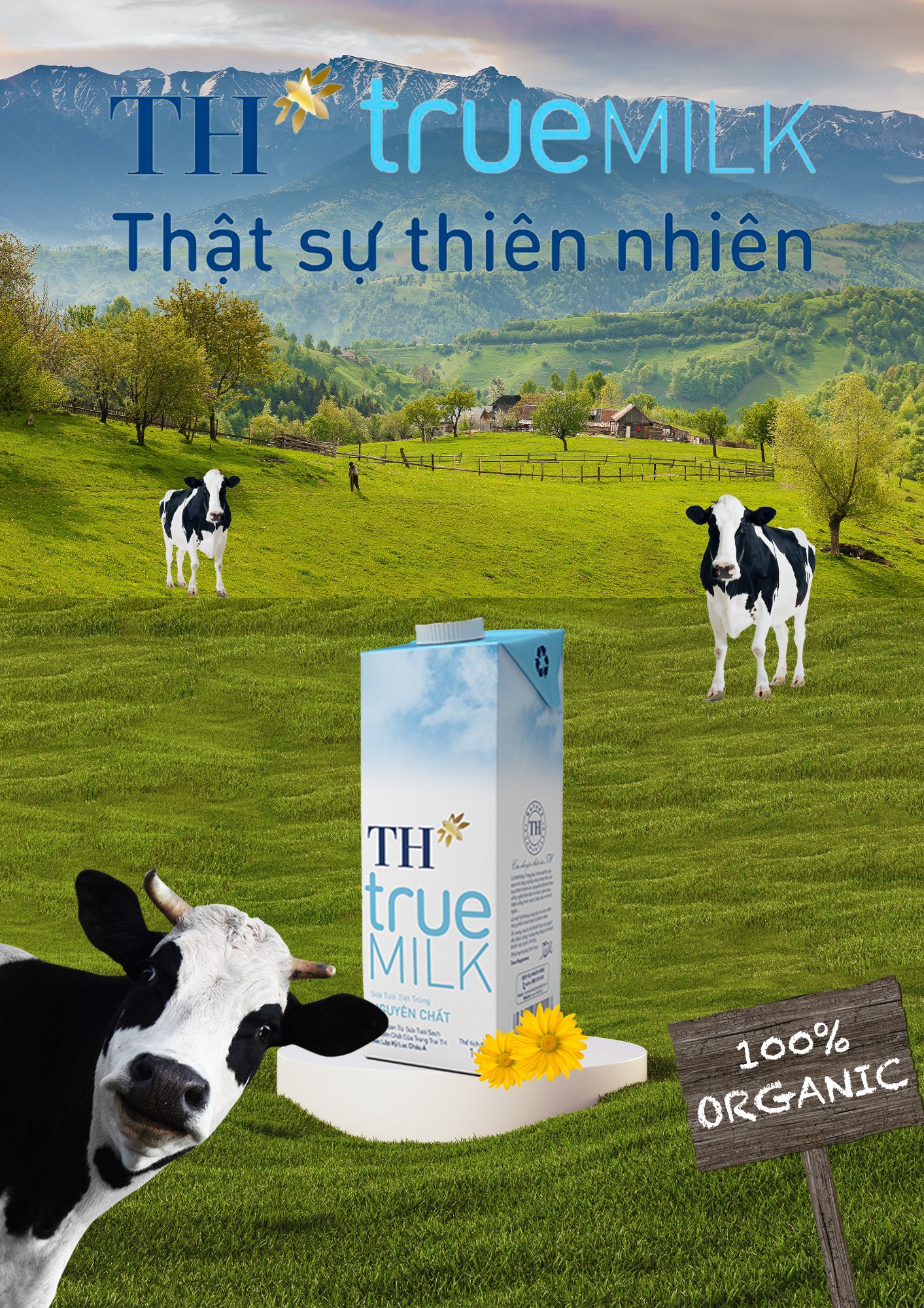 BTVN buổi 6