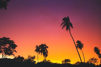 bt buổi 4