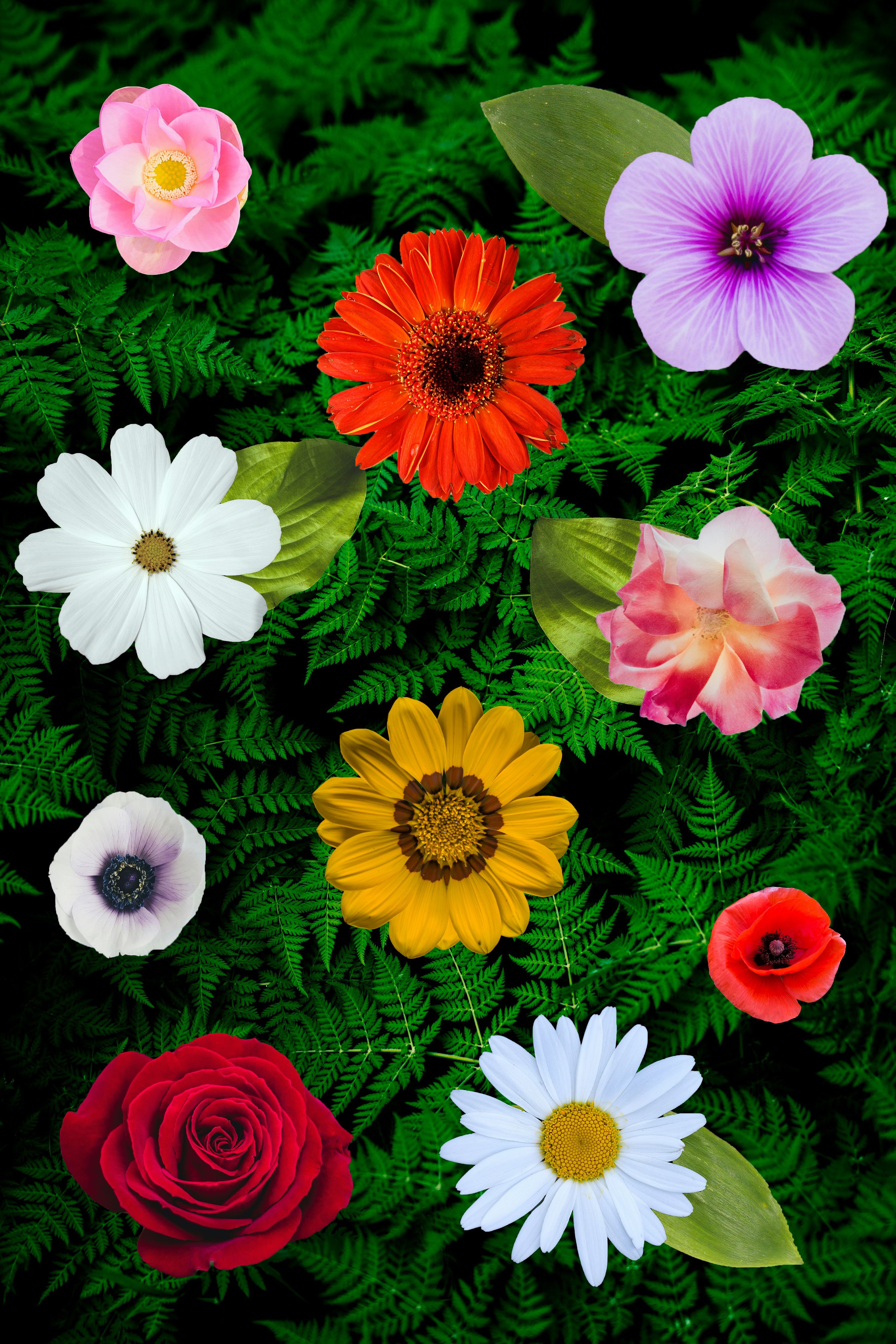 secret garden