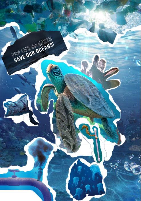 Pollution of the ocean environment