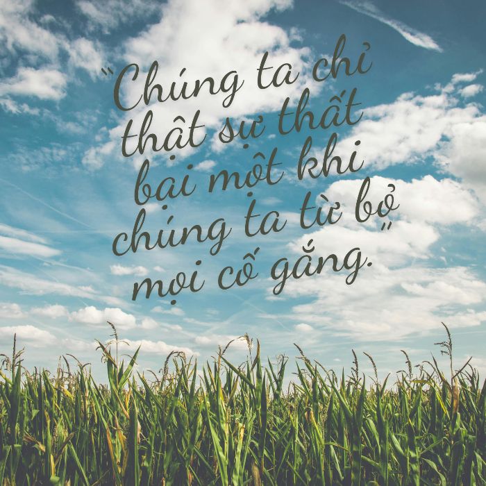 Bài tập vn buổi 2
