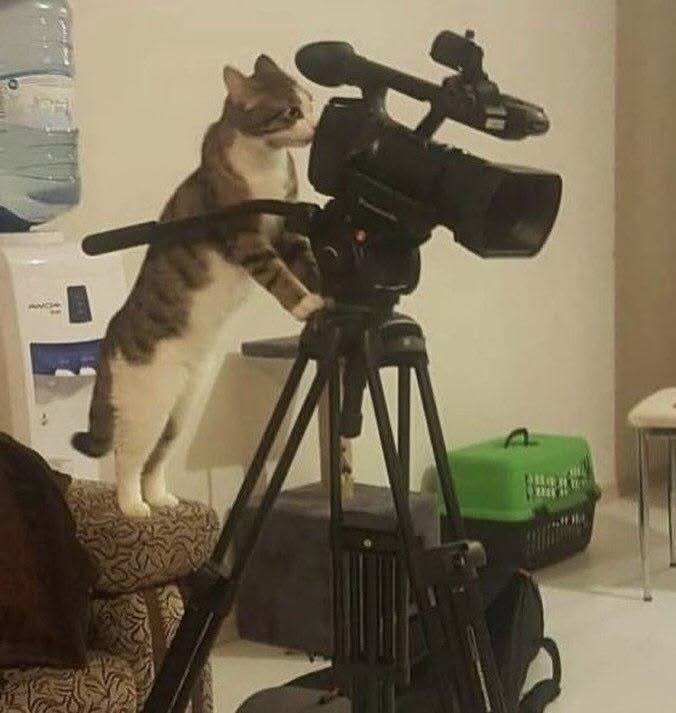 BCK