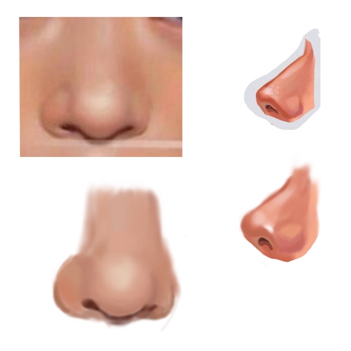 Mũi