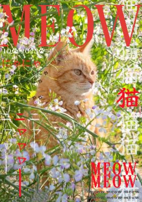 btvn