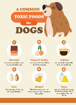 BTCK: Inforgraphic