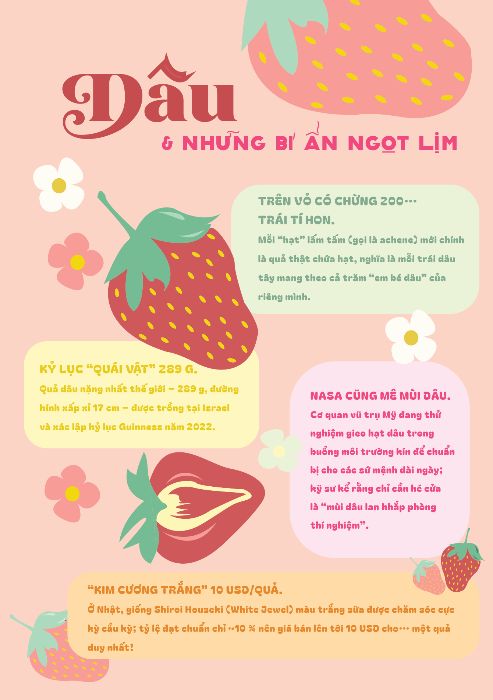 Dâu & những bí ẩn ngọt lịm