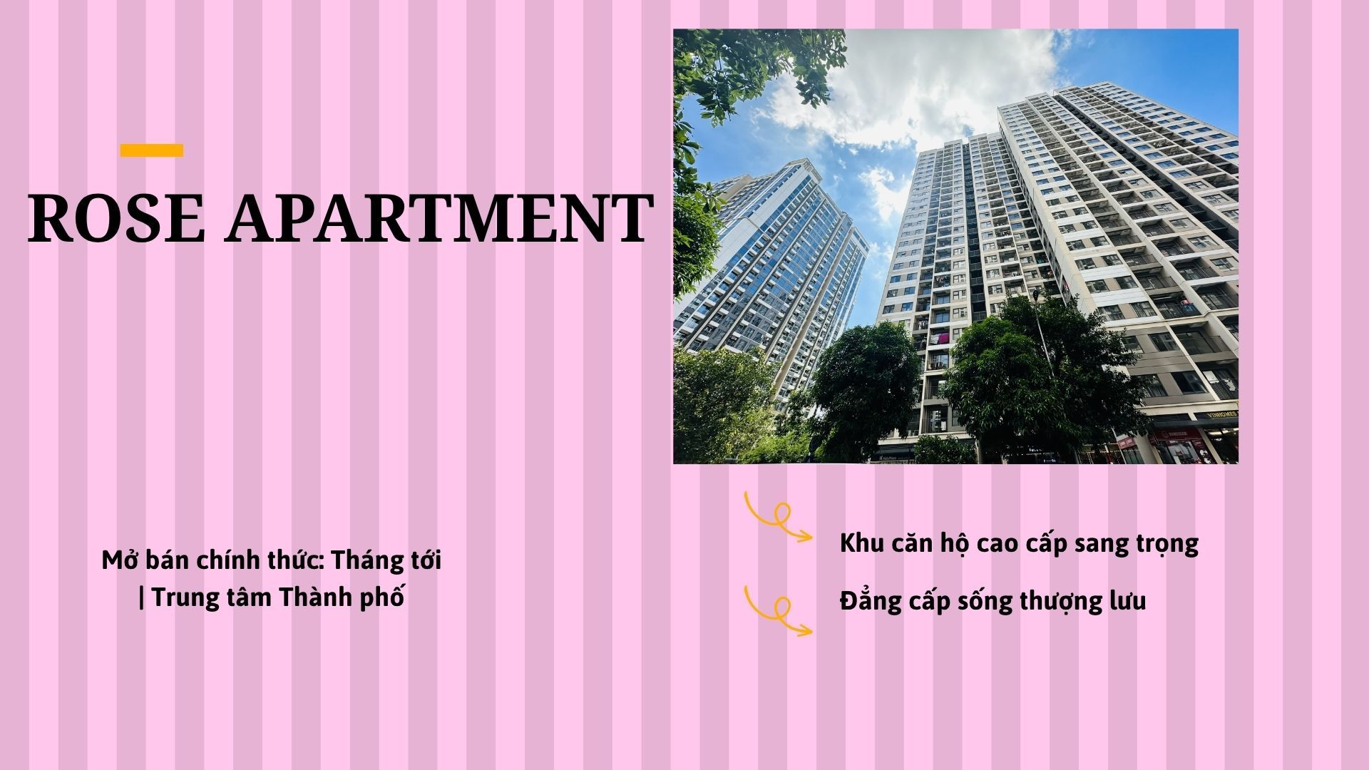 https://canva.link/f5svkc5qjuu7uh1