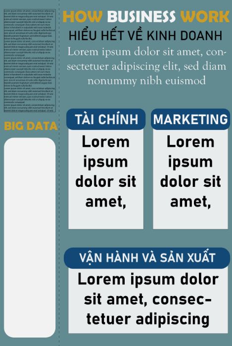 Phác Thảo INFOGRAPHIC