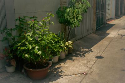 Bài tập về nhà buổi 1