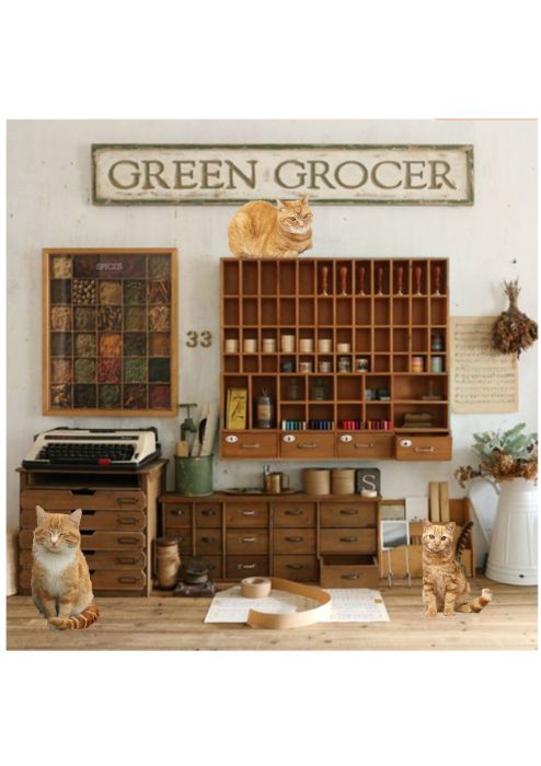 BTVN 1