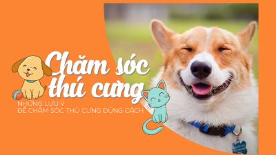 BTVN buổi 2