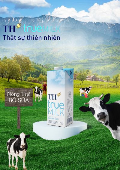 BTVN