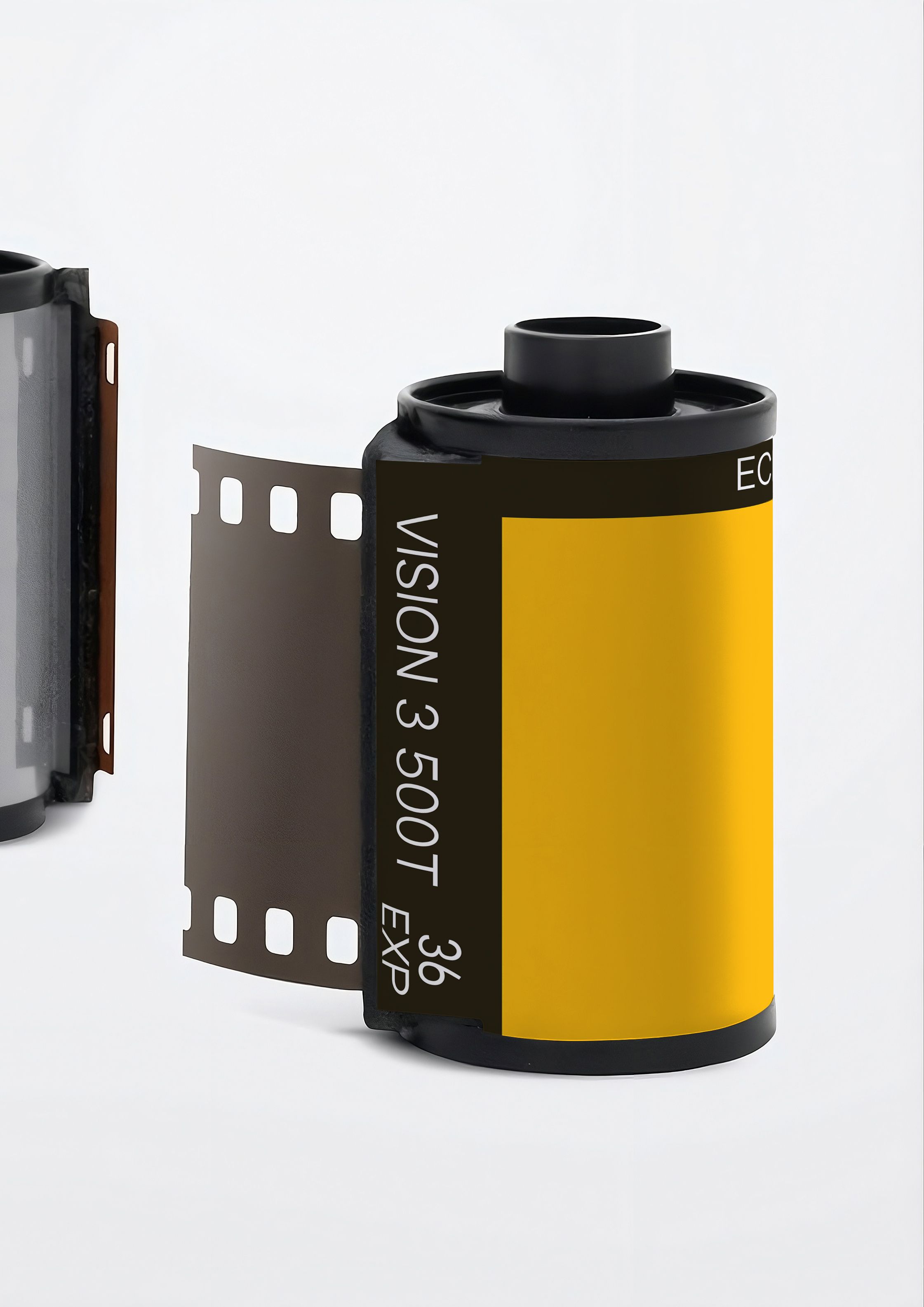 mockup film roll