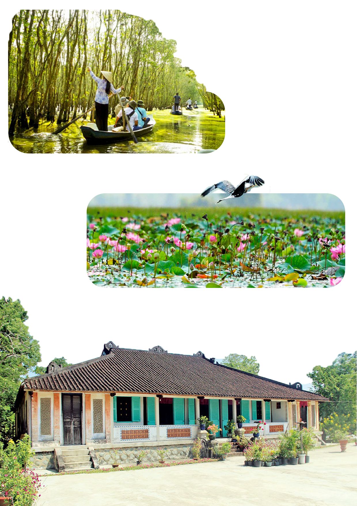 Cảnh đẹp Long An