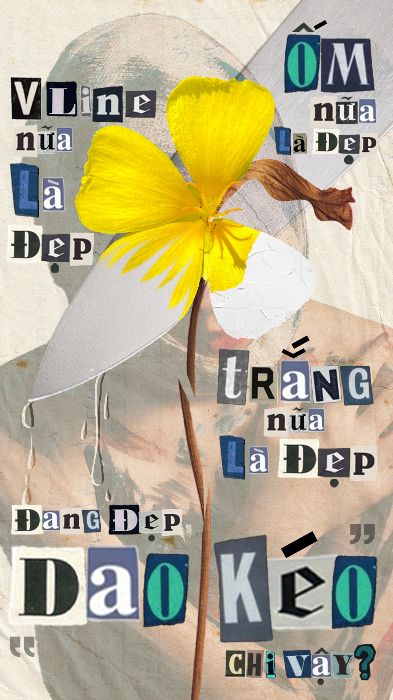 Tiêu Chuẩn Cái Đẹp hay chỉ là Những Lời Dèm Pha