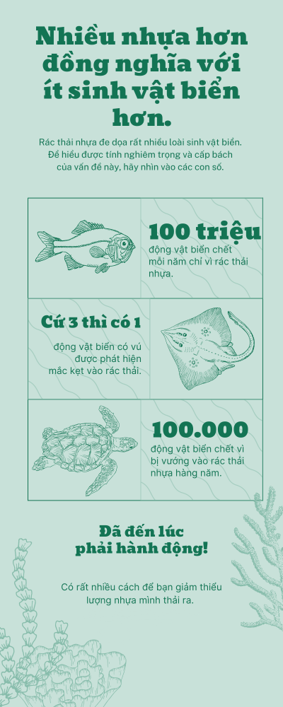 Nộp bài tập cuối kỳ
