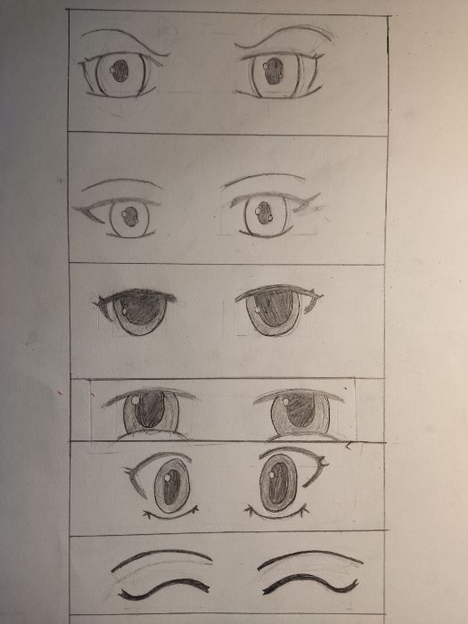 Eye