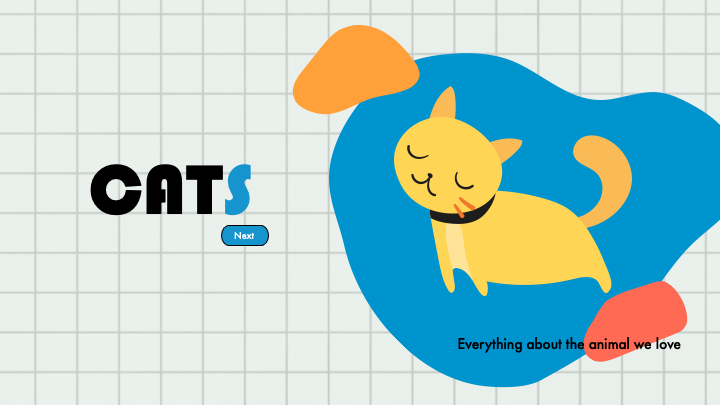 Cat Presentation