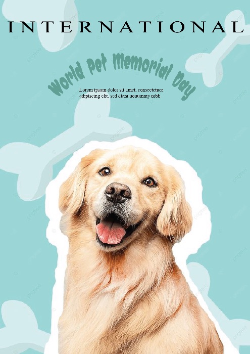 animal poster