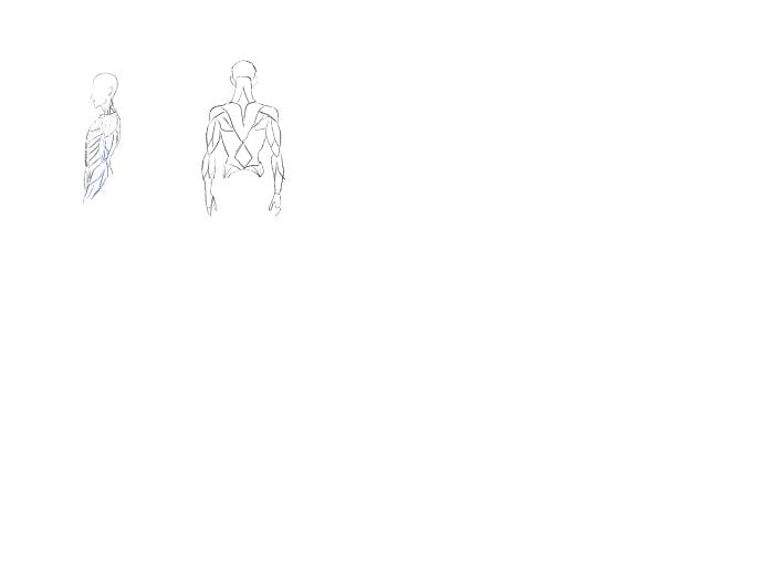 back