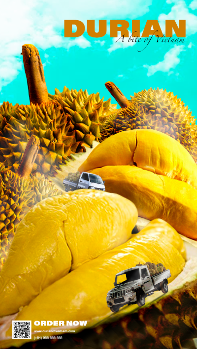 DURIAN ADVERTISING POSTER