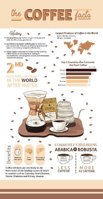 Final Inforgraphic