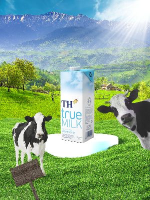 BTVN Buổi  6