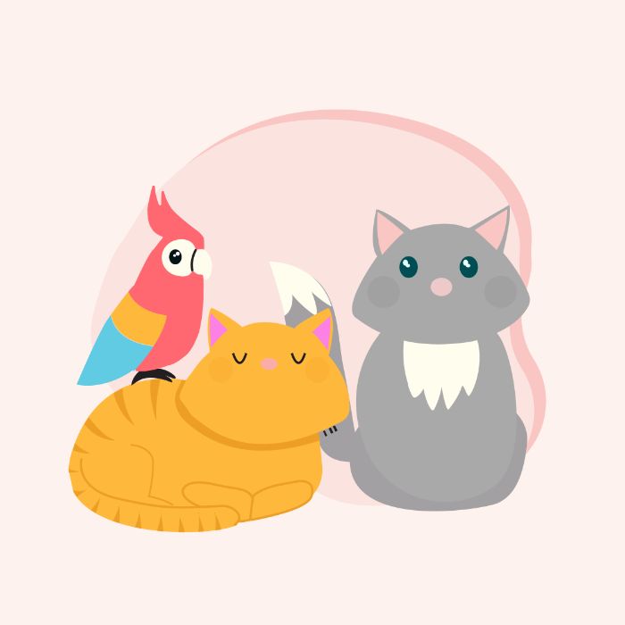 BTVN 2