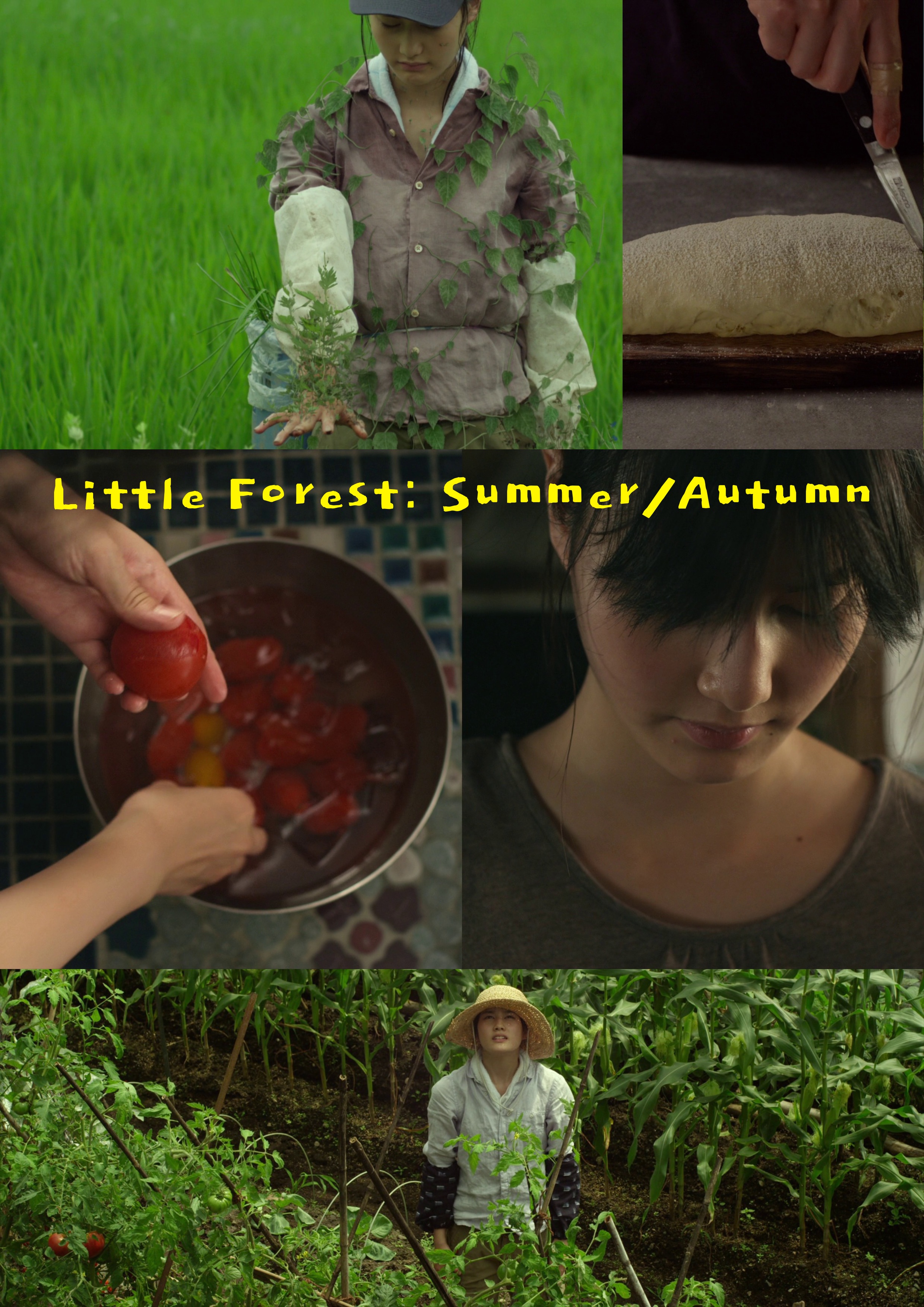 Little Forest