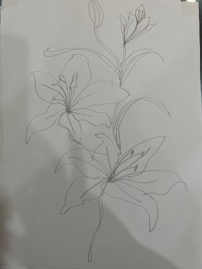 Oneline drawing