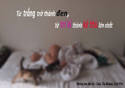 BTVN3