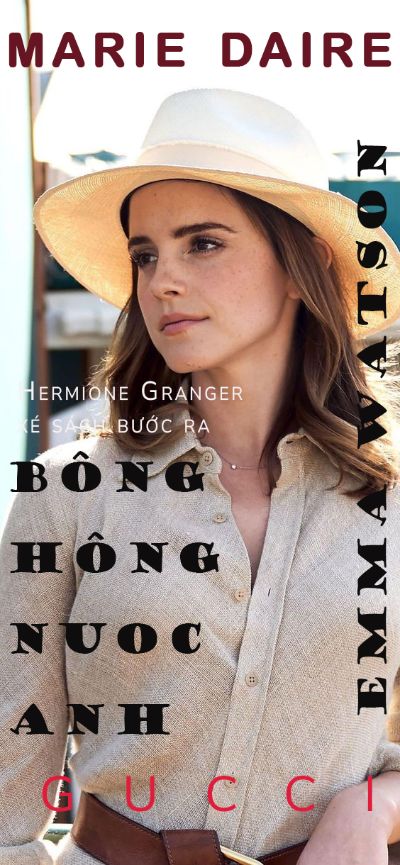 Bông Hồng nước Anh