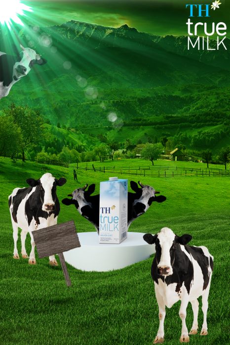 BTVN Buổi 5 PTS