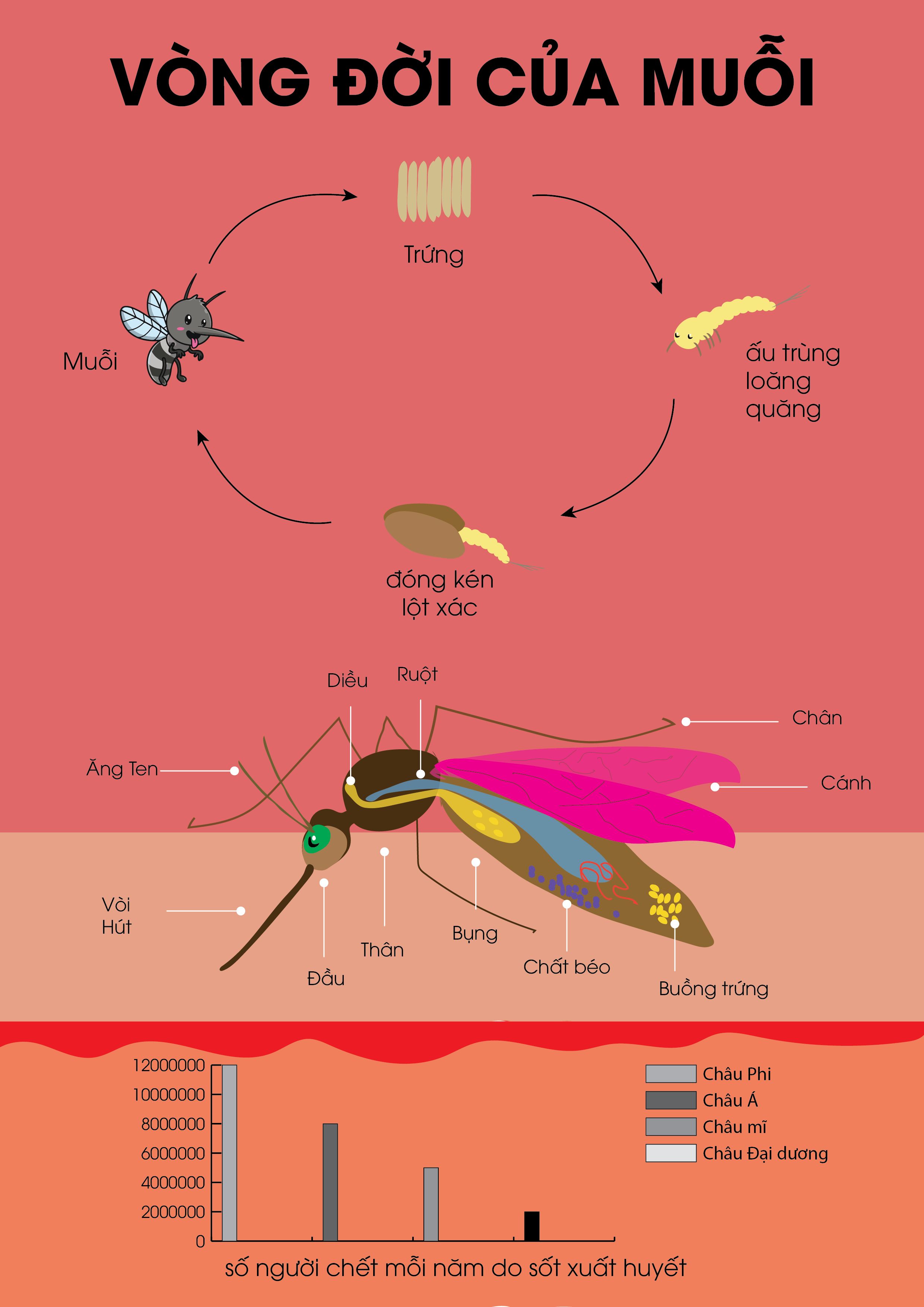 nhớ Căng Màn khi ngủ