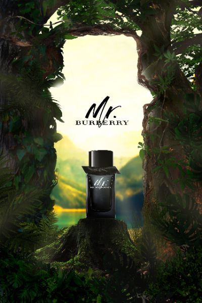 MR. BURBERRY PARFUM
