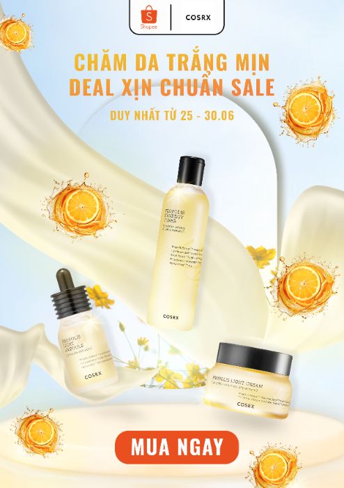 Bài nộp cuối kì