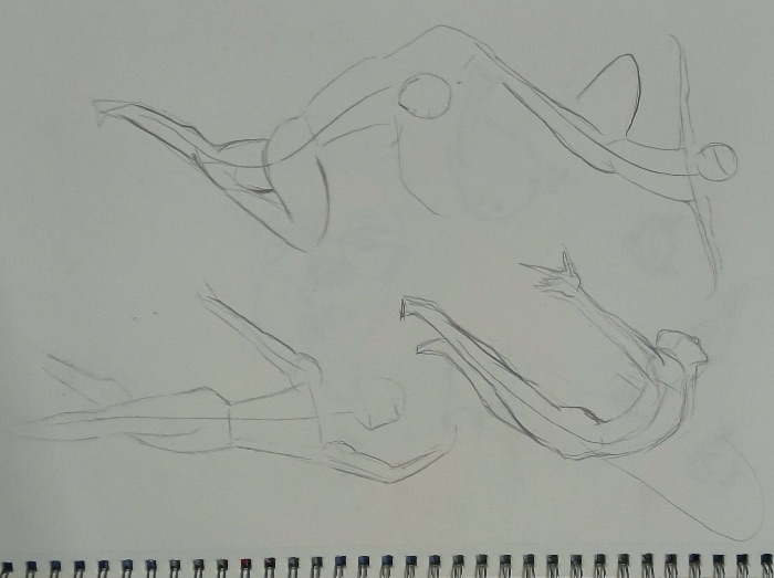 Shape