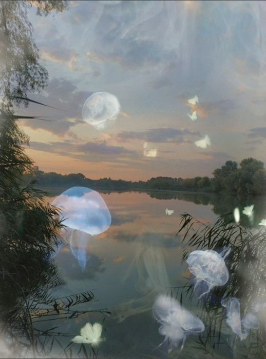 lake