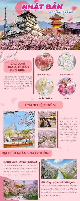 HOA ANH ĐÀO NHẬT BẢN