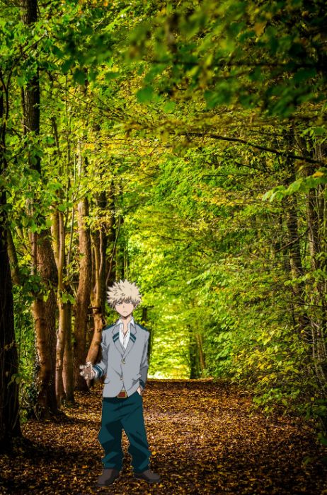walking the forest