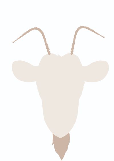 btb 7
