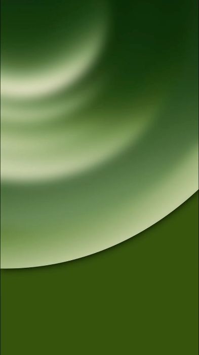 Bài 12