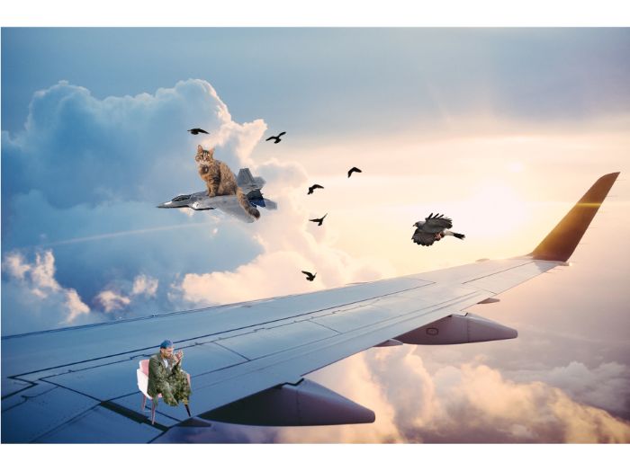 PLANE