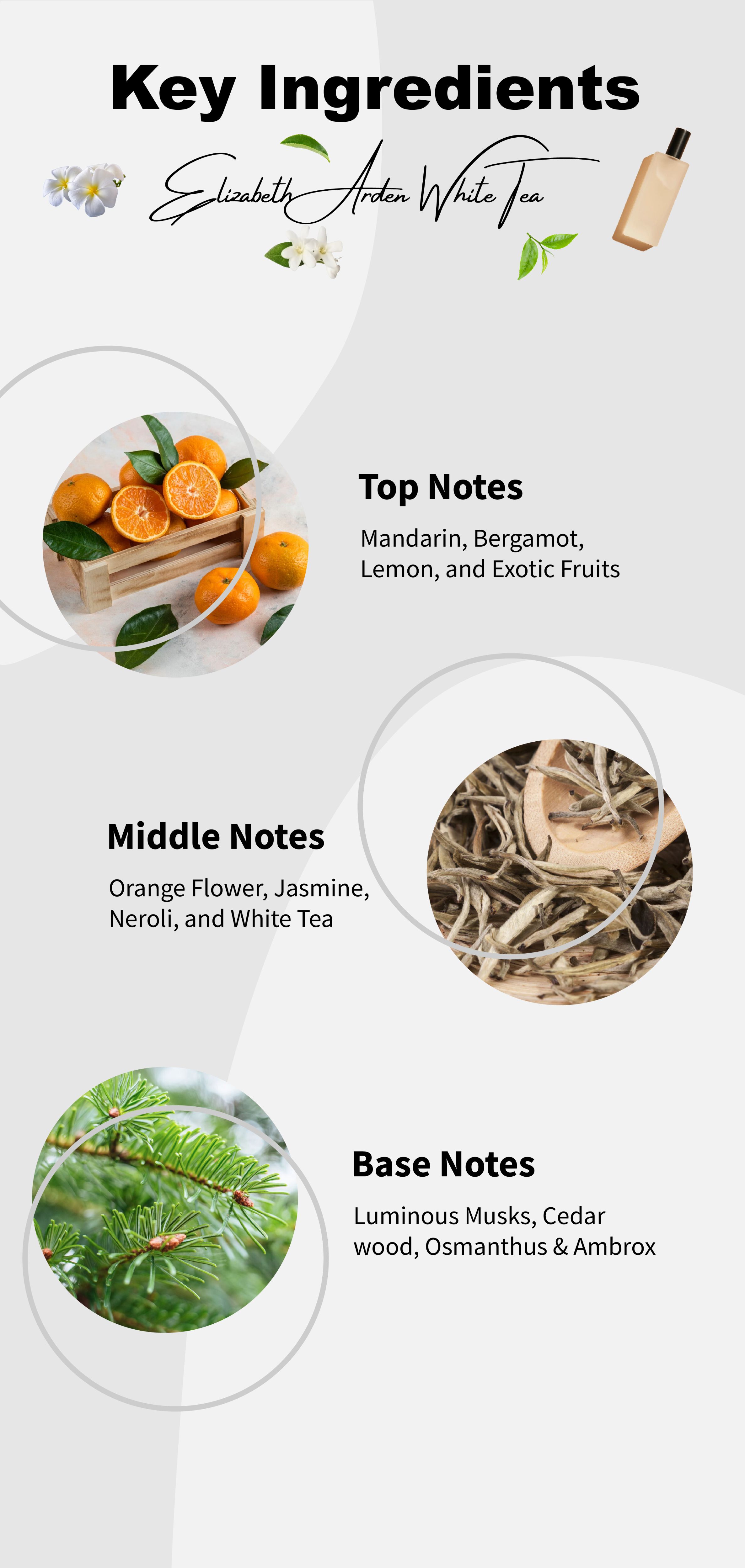 Infographic