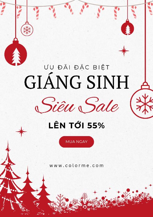 B1_Nguyễn Cẩm Ly