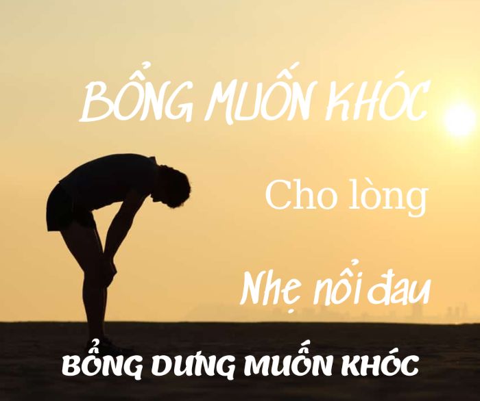 BTVN2