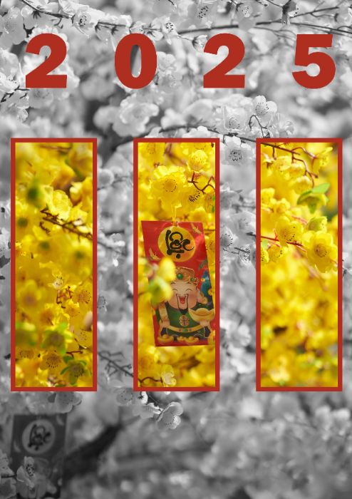 BTVN Buổi 3