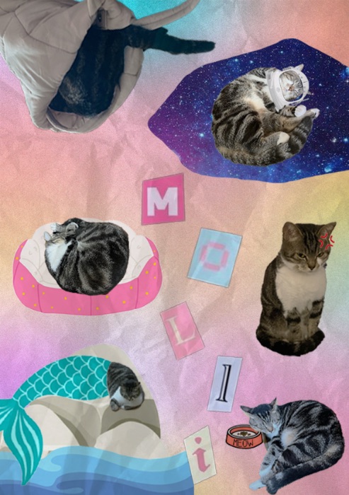mô lì
