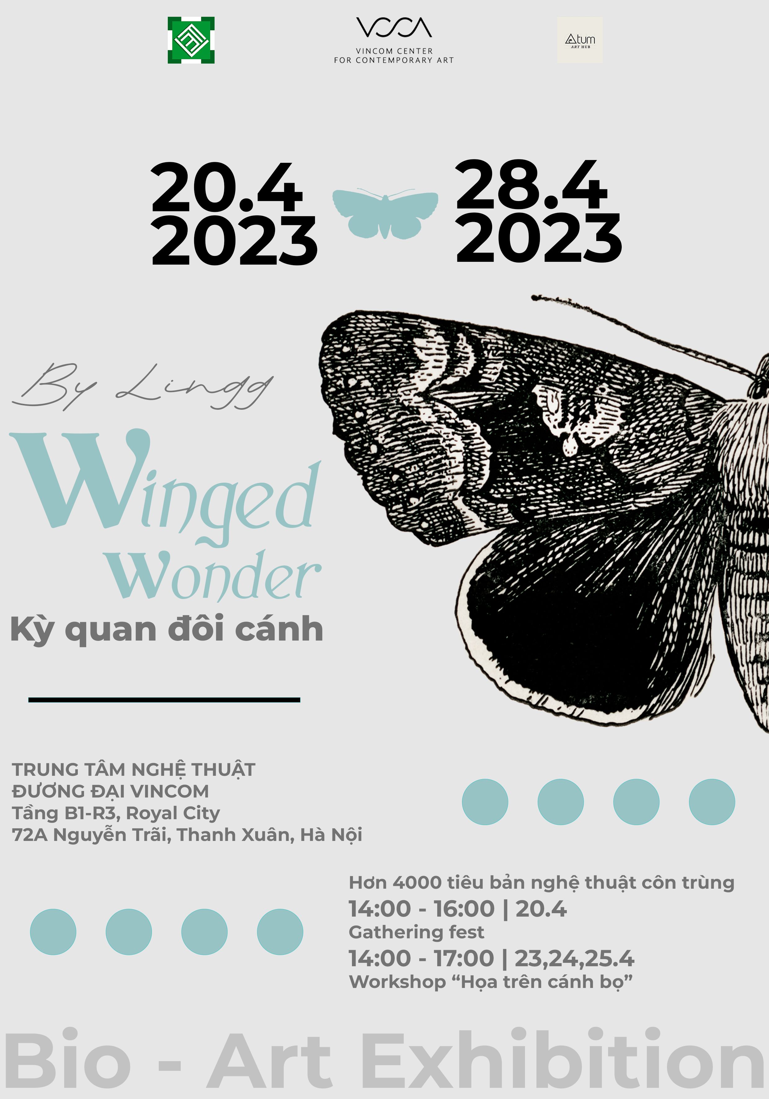 Nguyễn Chí Đức Dũng - Winged Wonder Bio - Art Exhibition